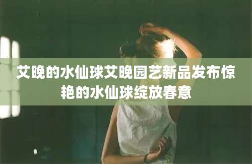 艾晚的水仙球艾晚园艺新品发布惊艳的水仙球绽放春意