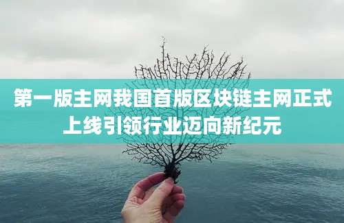 第一版主网我国首版区块链主网正式上线引领行业迈向新纪元