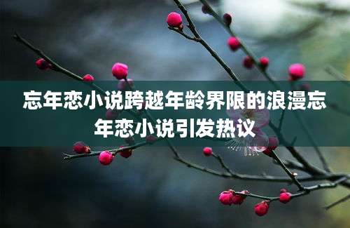 忘年恋小说跨越年龄界限的浪漫忘年恋小说引发热议