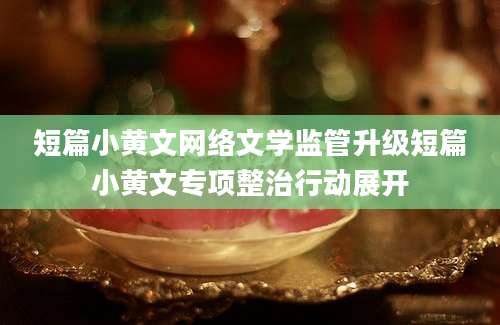 短篇小黄文网络文学监管升级短篇小黄文专项整治行动展开