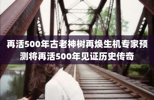 再活500年古老神树再焕生机专家预测将再活500年见证历史传奇
