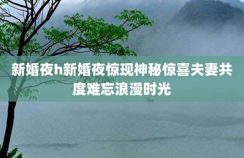 新婚夜h新婚夜惊现神秘惊喜夫妻共度难忘浪漫时光