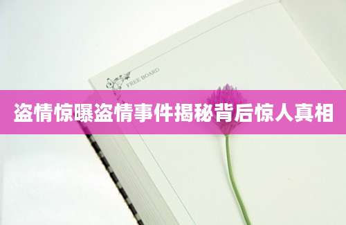 盗情惊曝盗情事件揭秘背后惊人真相