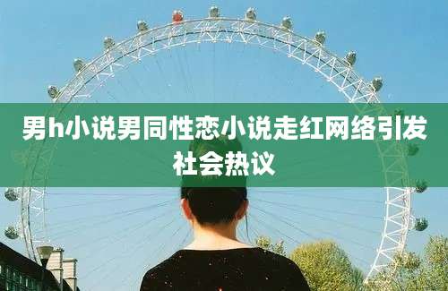 男h小说男同性恋小说走红网络引发社会热议