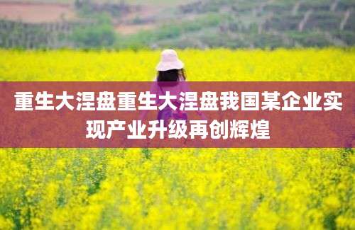 重生大涅盘重生大涅盘我国某企业实现产业升级再创辉煌