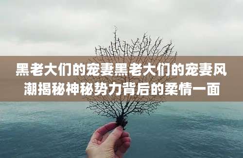 黑老大们的宠妻黑老大们的宠妻风潮揭秘神秘势力背后的柔情一面