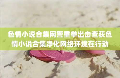 色情小说合集网警重拳出击查获色情小说合集净化网络环境在行动