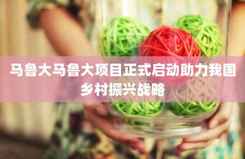 马鲁大马鲁大项目正式启动助力我国乡村振兴战略