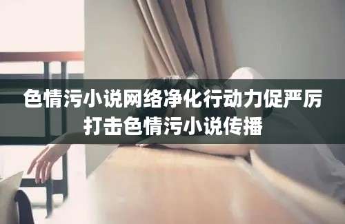 色情污小说网络净化行动力促严厉打击色情污小说传播