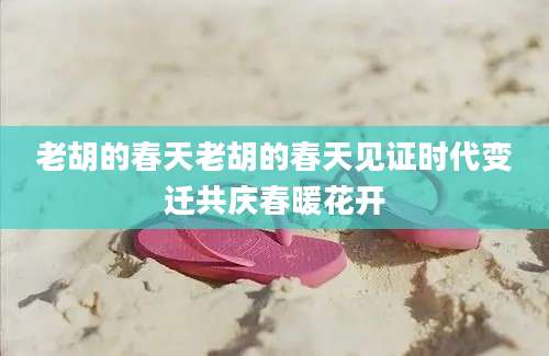 老胡的春天老胡的春天见证时代变迁共庆春暖花开