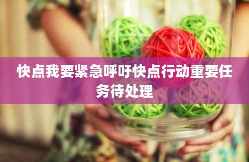 快点我要紧急呼吁快点行动重要任务待处理