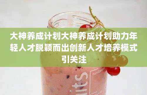 大神养成计划大神养成计划助力年轻人才脱颖而出创新人才培养模式引关注