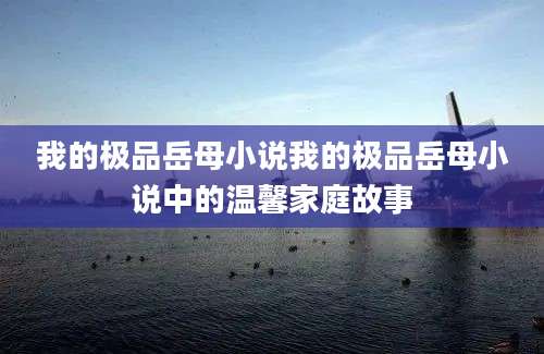 我的极品岳母小说我的极品岳母小说中的温馨家庭故事