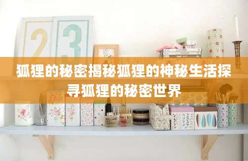狐狸的秘密揭秘狐狸的神秘生活探寻狐狸的秘密世界