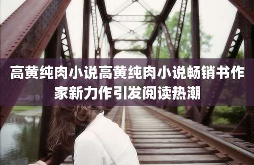 高黄纯肉小说高黄纯肉小说畅销书作家新力作引发阅读热潮