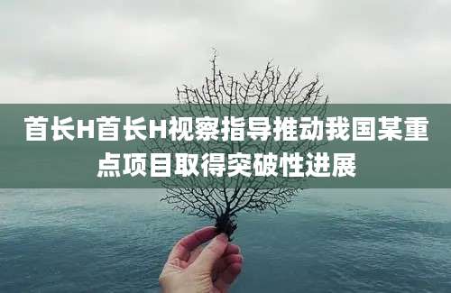 首长H首长H视察指导推动我国某重点项目取得突破性进展