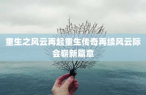 重生之风云再起重生传奇再续风云际会崭新篇章