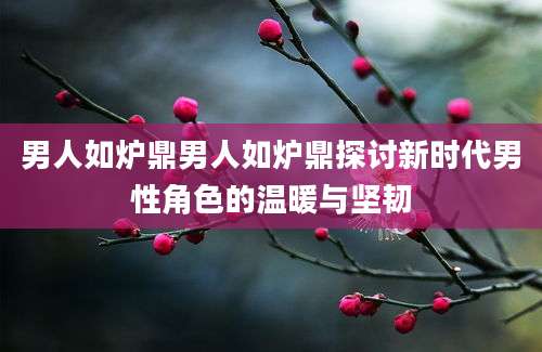 男人如炉鼎男人如炉鼎探讨新时代男性角色的温暖与坚韧