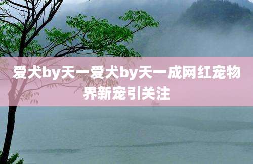 爱犬by天一爱犬by天一成网红宠物界新宠引关注