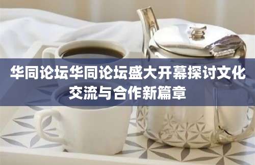 华同论坛华同论坛盛大开幕探讨文化交流与合作新篇章