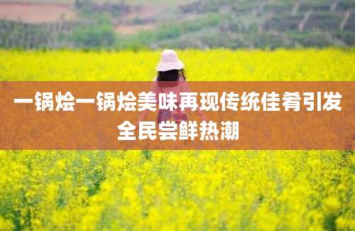 一锅烩一锅烩美味再现传统佳肴引发全民尝鲜热潮