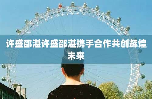 许盛邵湛许盛邵湛携手合作共创辉煌未来