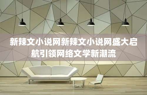 新辣文小说网新辣文小说网盛大启航引领网络文学新潮流
