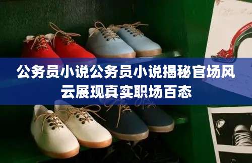 公务员小说公务员小说揭秘官场风云展现真实职场百态