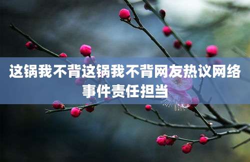 这锅我不背这锅我不背网友热议网络事件责任担当