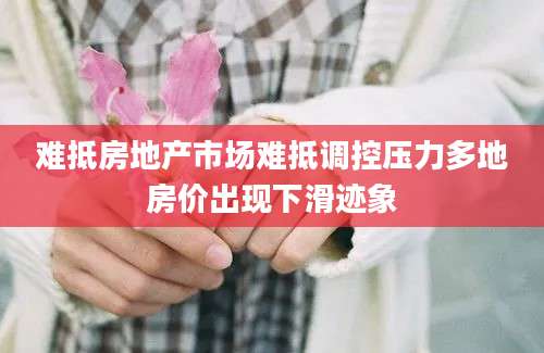 难抵房地产市场难抵调控压力多地房价出现下滑迹象