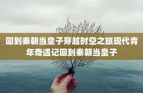 回到秦朝当皇子穿越时空之旅现代青年奇遇记回到秦朝当皇子