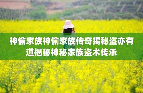 神偷家族神偷家族传奇揭秘盗亦有道揭秘神秘家族盗术传承