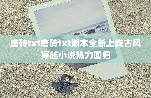 唐砖txt唐砖txt版本全新上线古风穿越小说热力回归