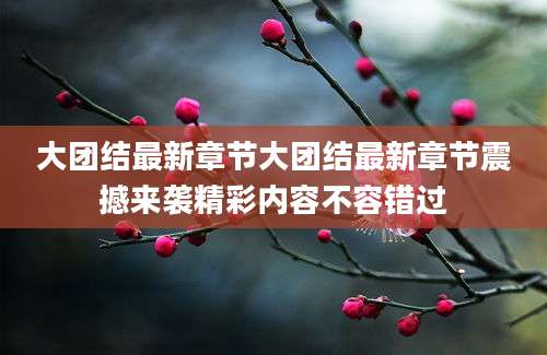 大团结最新章节大团结最新章节震撼来袭精彩内容不容错过