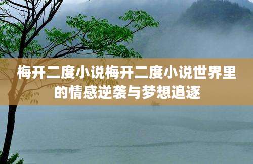 梅开二度小说梅开二度小说世界里的情感逆袭与梦想追逐