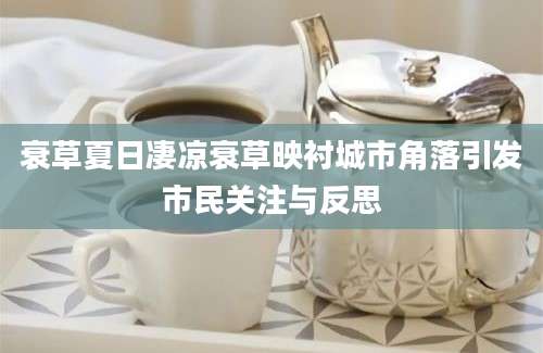 衰草夏日凄凉衰草映衬城市角落引发市民关注与反思
