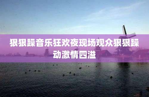 狠狠躁音乐狂欢夜现场观众狠狠躁动激情四溢