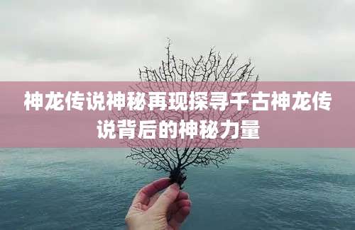 神龙传说神秘再现探寻千古神龙传说背后的神秘力量