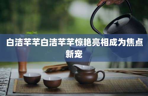 白洁芊芊白洁芊芊惊艳亮相成为焦点新宠