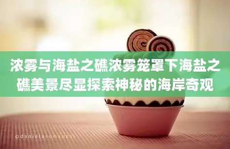 浓雾与海盐之礁浓雾笼罩下海盐之礁美景尽显探索神秘的海岸奇观