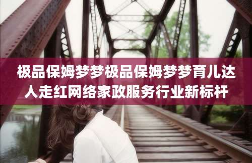 极品保姆梦梦极品保姆梦梦育儿达人走红网络家政服务行业新标杆