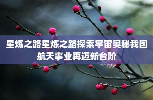 星炼之路星炼之路探索宇宙奥秘我国航天事业再迈新台阶