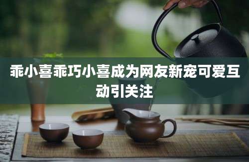 乖小喜乖巧小喜成为网友新宠可爱互动引关注