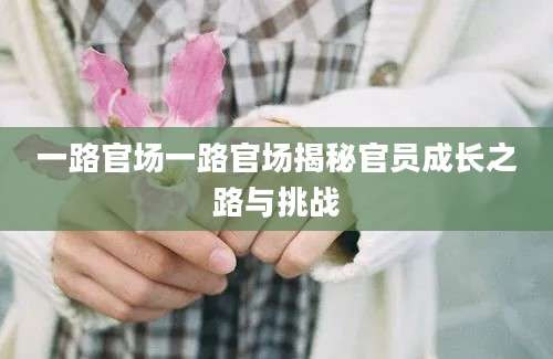 一路官场一路官场揭秘官员成长之路与挑战