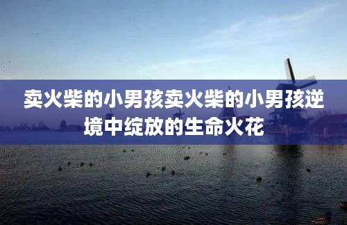 卖火柴的小男孩卖火柴的小男孩逆境中绽放的生命火花