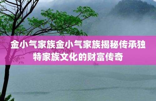 金小气家族金小气家族揭秘传承独特家族文化的财富传奇
