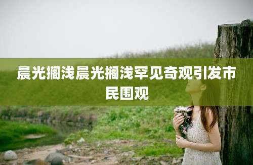 晨光搁浅晨光搁浅罕见奇观引发市民围观