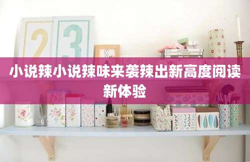 小说辣小说辣味来袭辣出新高度阅读新体验