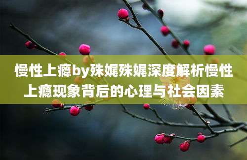 慢性上瘾by殊娓殊娓深度解析慢性上瘾现象背后的心理与社会因素
