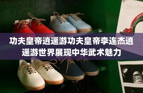功夫皇帝逍遥游功夫皇帝李连杰逍遥游世界展现中华武术魅力